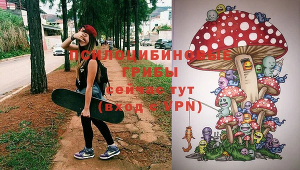 а пвп мука Нягань